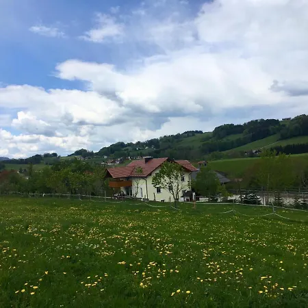 Luxusappartement Zell am Moos Exterior photo